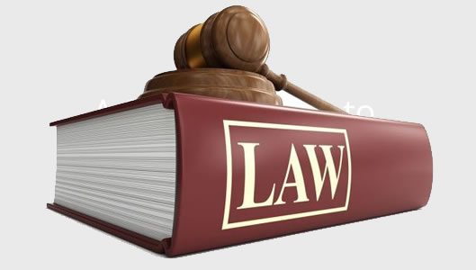Bailiff Advice Legal Cases